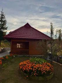 Zlatiborske brvnare - Image 2