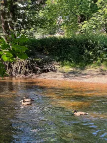 Amazing gem on the riverside with a garden - Image 5