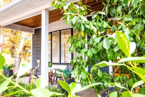 The little fig farm - Image 5