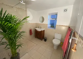 Cygnet Studio - Image 2