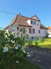 Les Colombes Maison 5 minutes from the tram to Strasbourg - Image 4