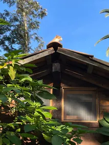 Casa Amor Cabin - Image 2