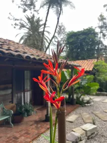 Casa Amor Cabin - Image 4