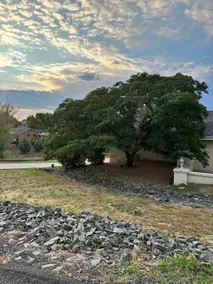 Wildflower House - Image 2