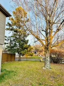 Cozy private backyard garden studio - Image 2