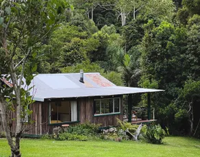 Little Rainforest Sanctuary near Bellingen - Image 2