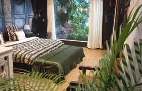 Natur Casa- Private Cottage nestled in nature! - Image 3
