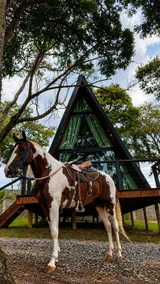 Pura Vida Jacuzzi Cabin, Fireplace & Haras - Image 2