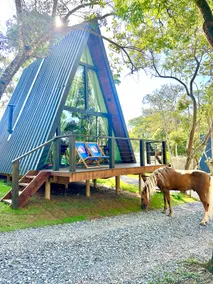 Pura Vida Jacuzzi Cabin, Fireplace & Haras - Image 2