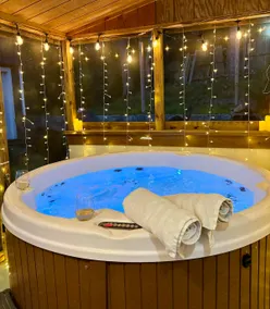 Private Hot Tub, Karaoke, Lake Views - Image 2