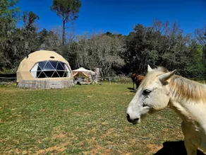 The Horse Cabin - Image 2