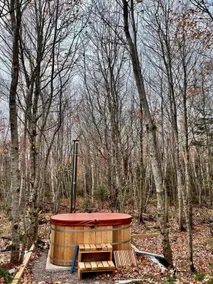 Unique A-Frame Cabin - Image 2