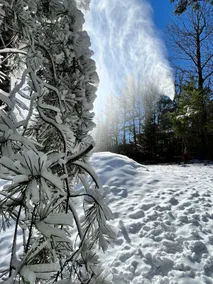 Glass Mountain Retreat — Panoramic Smoky Views - Image 3