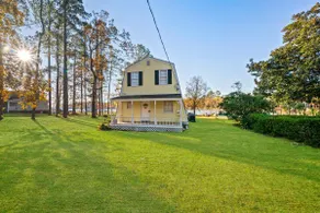 Lake Cottage in Chapin Private Dock - Image 3