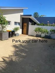 Newport Beach Palms - Image 3