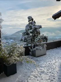 Chalet Villa pool with panoramic view of Gérardmer - Image 3