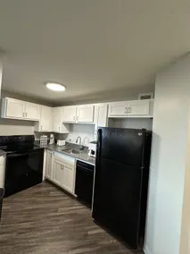 Two Bedroom luxery Condo in Minneapolis - Image 5