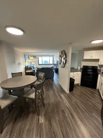 Two Bedroom luxery Condo in Minneapolis - Image 2
