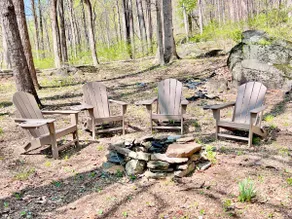 Riverfront • 10 acre woods • 4BR 3BA • sleeps 10 - Image 4