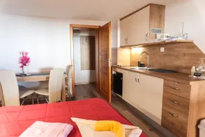 Standard Studio at EcoTourism Viženčar on Krvavec - Image 2