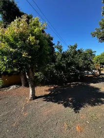 Cozy house on Ilha Redonda - Image 3