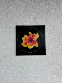 Tekoerani - Aute Studio - Image 3