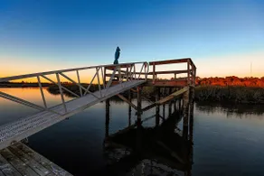 Dockside Dreamhouse: A Nature Lover's Paradise! - Image 4