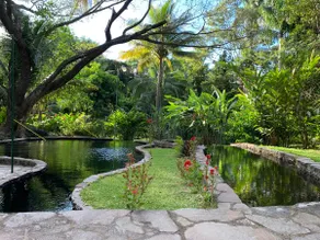 Thermal Paradise Villa - Image 4
