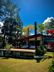 The Waterfall House - Image 5