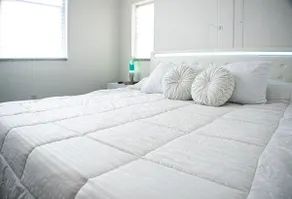 The Theodore House - Image 3