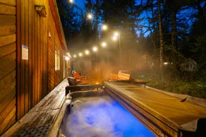 Mtn Cabin-Hot Tub-Fire Pit-Extra Suite-Sleeps 10! - Image 2