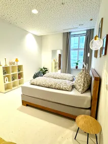 Central Vienna Apartment 140 m2 - Image 4