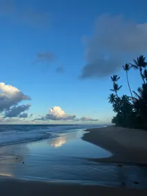 Peace and quiet 50 meters from the sea on Bombaça beach - Image 5