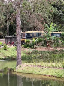My Gold Bus - Image 4