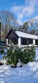 Forest cabin with hot tub & privacy – Oud-Veluwe - Image 4