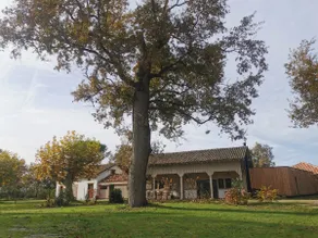 Zen break in Pinéala, in the heart of the Landes forest. - Image 2