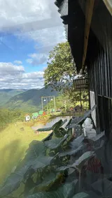 Meu Pequeno Paraíso Cabin - Image 5