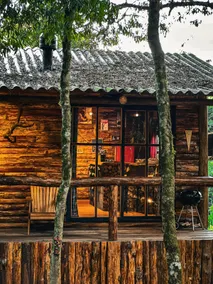 Yellowstone Cabin: An American Immersion in SC - Image 2