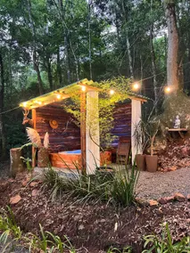 Yellowstone Cabin: An American Immersion in SC - Image 3