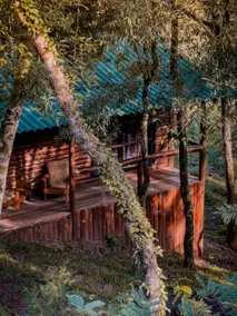 Cabin with exclusive decor - Image 4