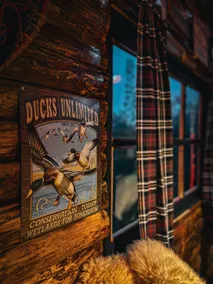 Cabin with exclusive decor - Image 3