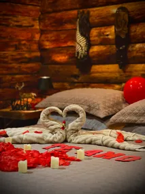 Yellowstone Cabin: An American Immersion in SC - Image 4