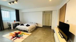 Nadea Studio-Apartment Craiova (2-rooms) - Image 3