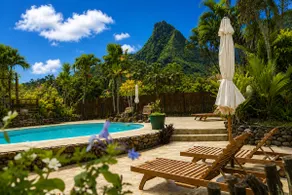 Bungalow in nature for 4 people - Image 3