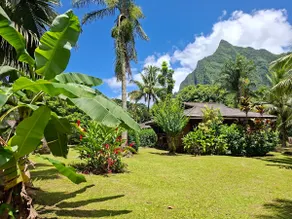 Bungalow in nature for 4 people - Image 2