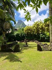 Bungalow in nature for 4 people - Image 5