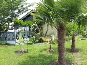 Le Madaillan - Image 3
