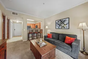 Mid-City Condo Near LSU! Pool! HOT TUB! Gym! - Image 3