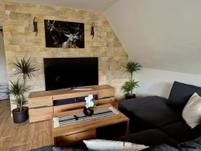 VilaMi apartment with pool, sauna, dogs welcome - Image 3