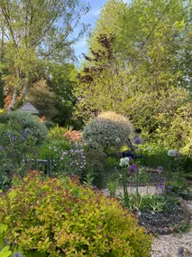 Holdfast Cottage in the heart of The New Forest - Image 5
